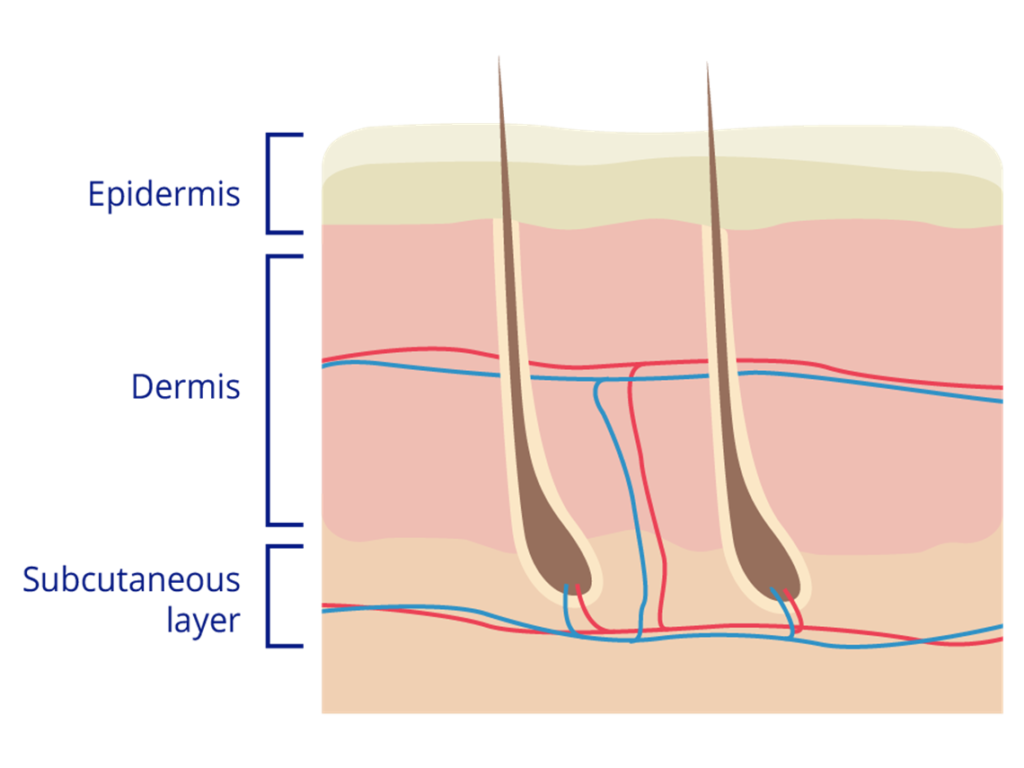 skin science